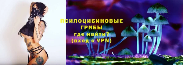 соль курить ск Аша
