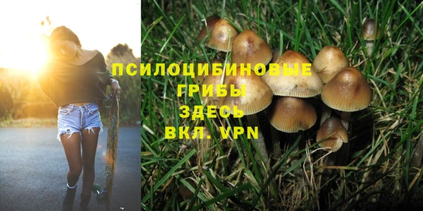 мяу мяу мука Бугульма