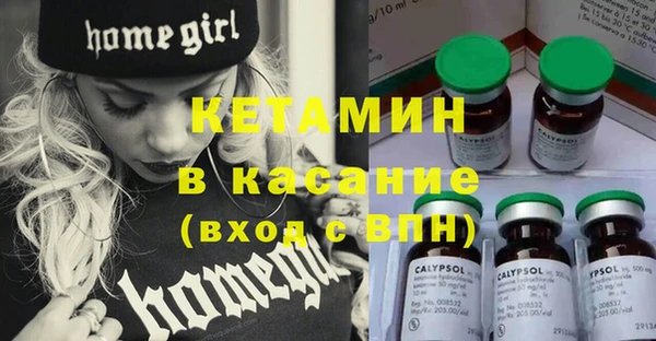 твердый Бородино