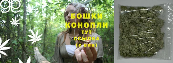 твердый Бородино